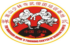 少林寺武僧團培訓基地燃氣蒸汽發生器廠家案例